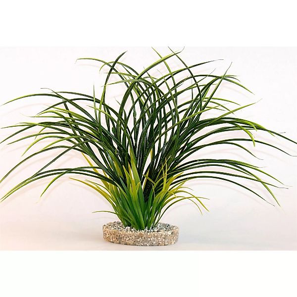 Kunststoffpflanze Fan Gras 30 cm hoch günstig online kaufen