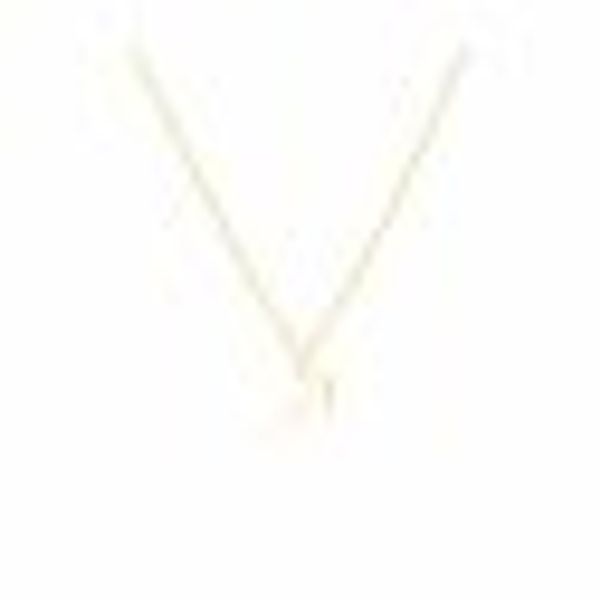 Anhänger mit Kette 925-Sterling Silber vergoldet Glänzend 42cm Schütze günstig online kaufen