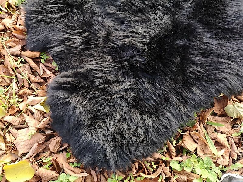 Provellus Fellteppich Echte Öko Schaffelle Lammfell Schwarz Bis 140 cm 2.Wa günstig online kaufen