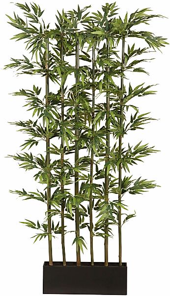 Kunstpflanze Bambus, Creativ green, Höhe 195 cm günstig online kaufen