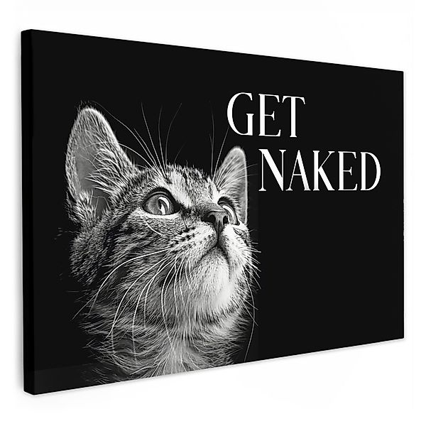OneMillionCanvasses® Leinwandbild Katze - Tieren - günstig online kaufen