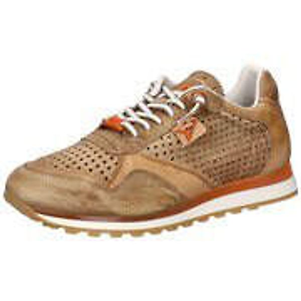 Cetti Sneaker Herren braun|braun|braun|braun|braun|braun günstig online kaufen