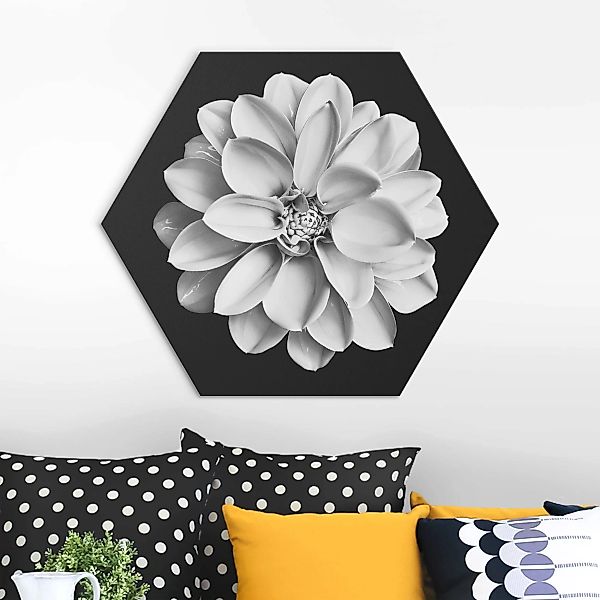 Hexagon-Alu-Dibond Bild Dahlie Schwarz Weiß günstig online kaufen