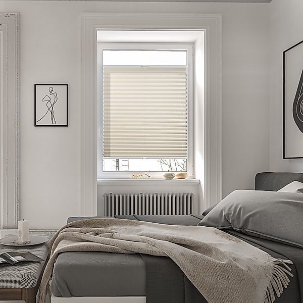 Roomy Plissee nach Maß Plissee, blickdicht, günstig online kaufen