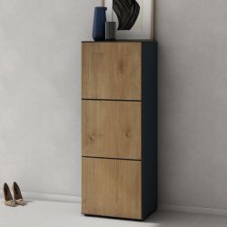 doporro Schuhschrank Schuhregal Schuhkipper mit 3 günstig online kaufen