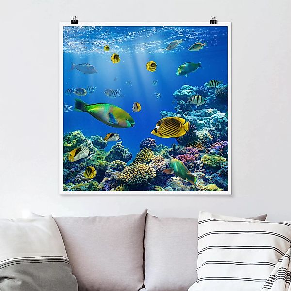 Poster Strand - Quadrat Underwater Lights günstig online kaufen