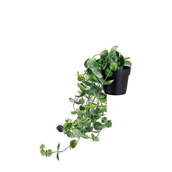 Kunstblume Hängepflanze im Topf - ca. günstig online kaufen