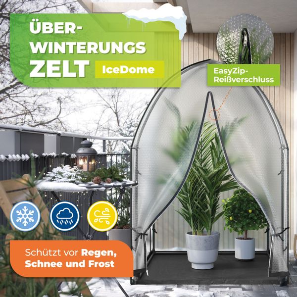 Bio Green Gewächshaus Überwinterungszelt "ICEDOME ThermoPLUS" günstig online kaufen