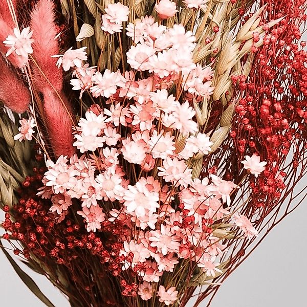 Lykke&You Ein Hauch von Rosa Trockenblumenstrauß mit Hafer Broom Bloom Lagu günstig online kaufen