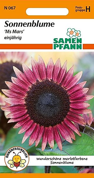 SAMEN PFANN Blumensamen Sonnenblume, Ms Mars - Saatgut SonnenSamen, Heliant günstig online kaufen