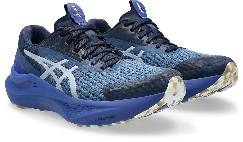 Asics GT-2000 14 LITE-SHOW Laufschuh für günstig online kaufen