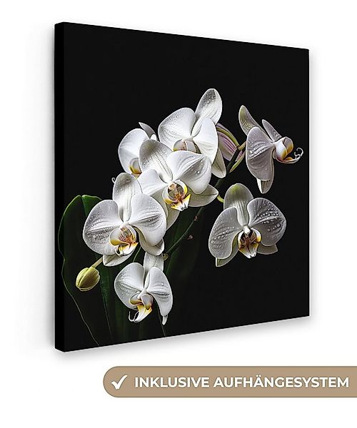 OneMillionCanvasses® Leinwandbild Orchidee - Blumen - Weiß - Natur - Schwar günstig online kaufen