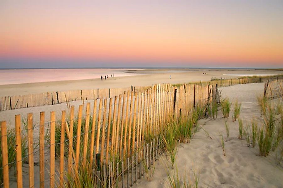 Papermoon Fototapete »Dunes Cape Cod« glatt günstig online kaufen