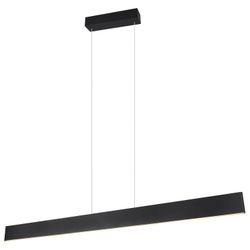 TRIO Leuchten LED Pendelleuchte GALWAY, 1-flammig, günstig online kaufen