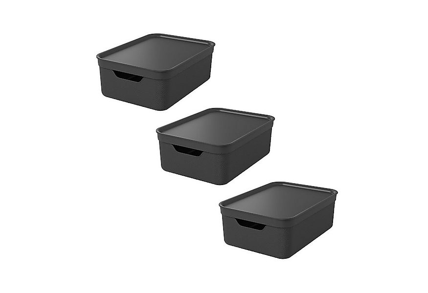 ROTHO Aufbewahrungsbox 3er Set Aufbewahrungsbox mit Deckel 10L JIVE günstig online kaufen