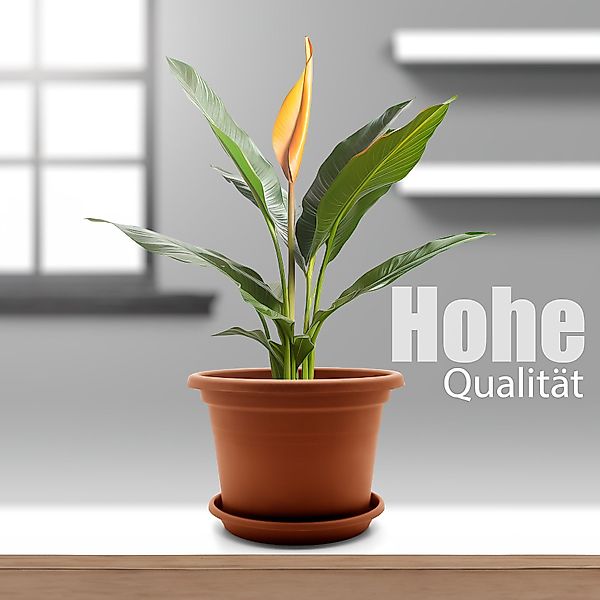 BigDean Blumentopf 4 Stück Pflanzkübel mit günstig online kaufen