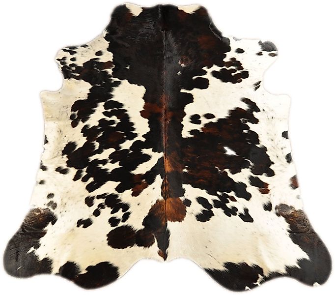 KUHFELL online & NOMAD Fellteppich KUHFELL STIERFELL RINDERFELL TEPPICH BRA günstig online kaufen