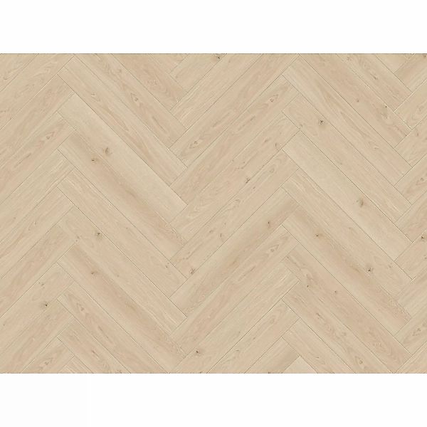 Parador Trendtime 3 Laminat 8 mm Eiche Studioline Natur günstig online kaufen