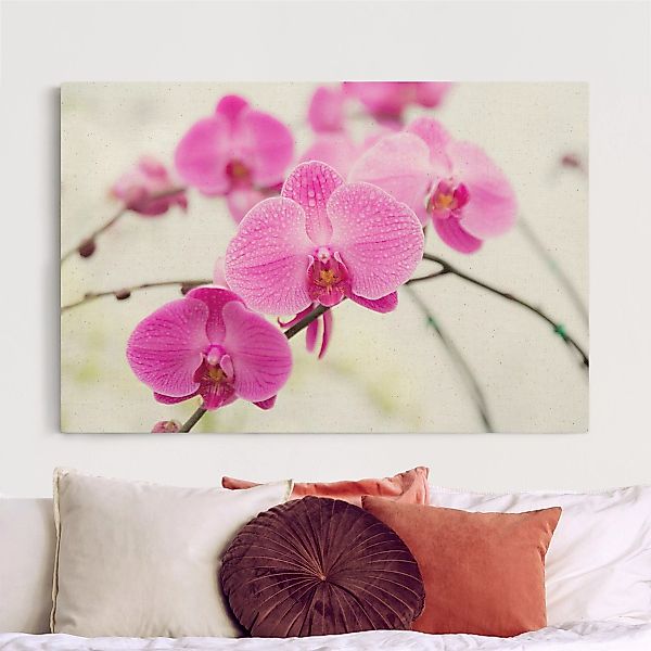 Leinwandbild auf Naturcanvas Nahaufnahme Orchidee günstig online kaufen