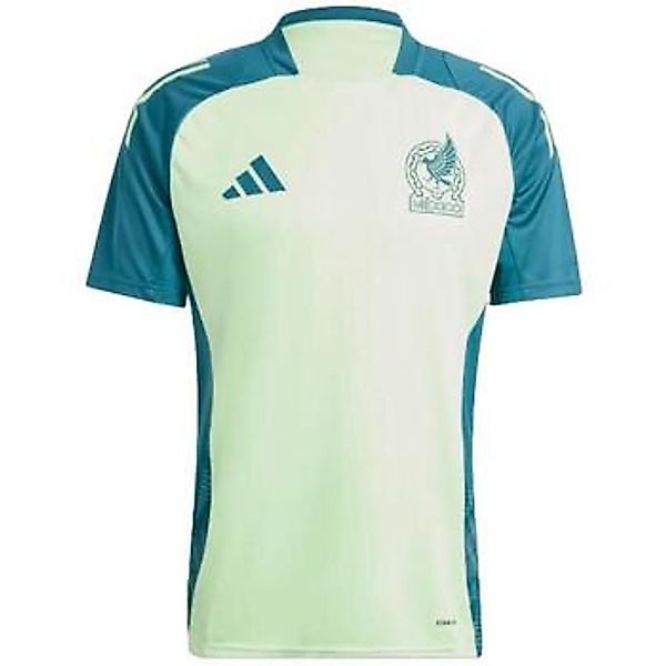 adidas  T-Shirts & Poloshirts IP6334 günstig online kaufen