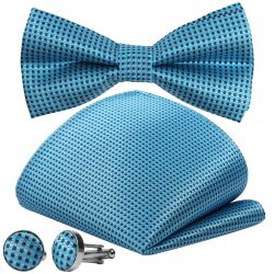 GASSANI Fliege Hochzeitsfliege Karo Tuch Festlich, günstig online kaufen