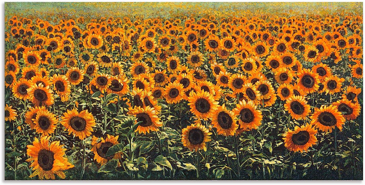 Artland Wandbild "Sonnenblumenfeld", Blumenwiese, (1 St.), als Alubild, Out günstig online kaufen
