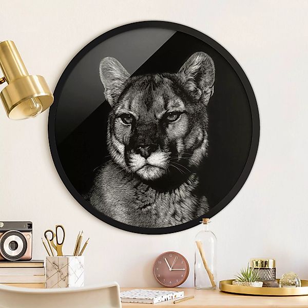 Rundes Gerahmtes Bild Puma vor Schwarz günstig online kaufen