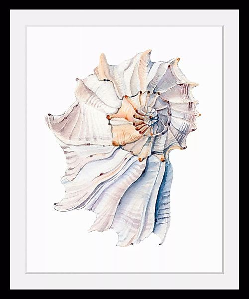 queence Bild »Aaron«, Meer-Wassertiere-Kunst, (1 St.), HD Premium Poster-Dr günstig online kaufen