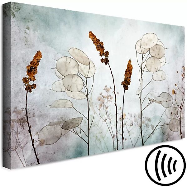 Wandbild Lunaria in the Meadow (1 Part) Wide XXL günstig online kaufen
