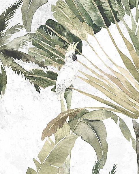 Komar Bild "Oiseau Cacadoo" Natur 1 Stk. tlg. Wandbild zur Dekoration - ohn günstig online kaufen