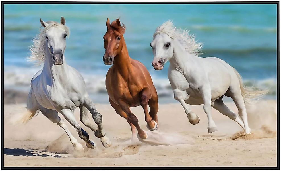 Papermoon Infrarotheizung »Horse Herd Run Galopp«, sehr angenehme Strahlung günstig online kaufen