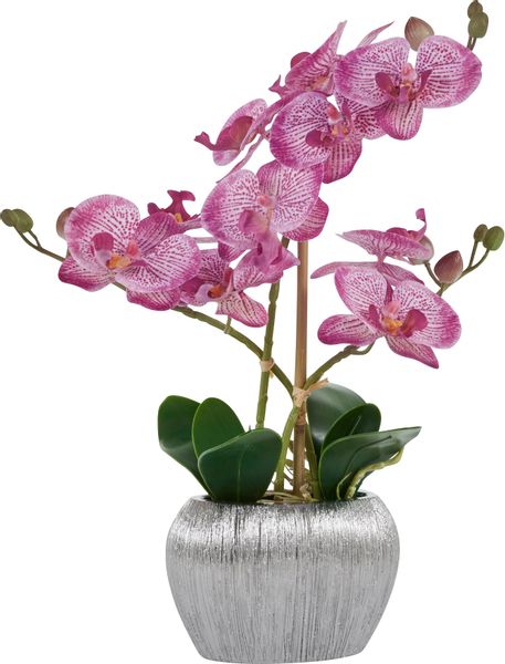 Kunstpflanze Orchidee, Home affaire, Höhe 38 günstig online kaufen