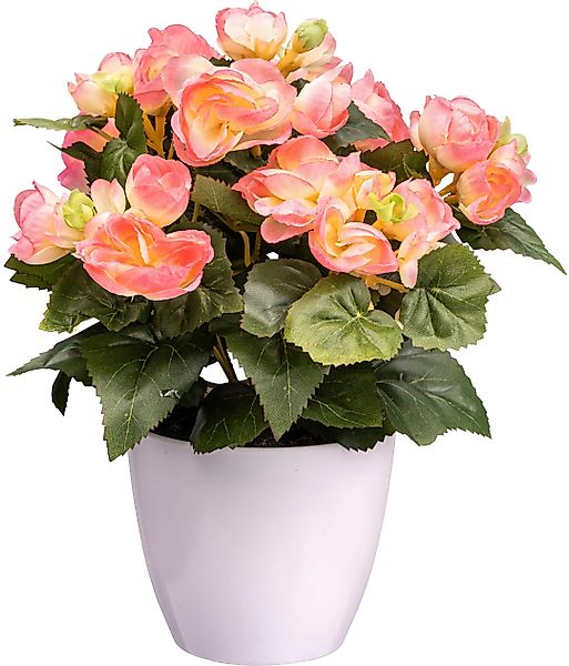Creativ green Kunstblume "Begonie", mit farbenfrohen Blüten günstig online kaufen