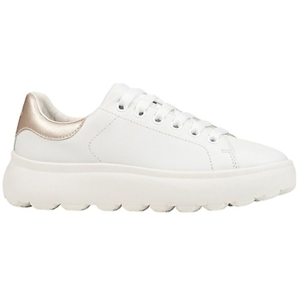 Geox  Sneaker D SPHERICA EC4.1 günstig online kaufen