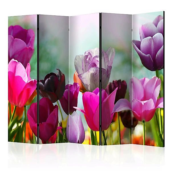 5-teiliges Paravent - Beautiful Tulips Ii [room Dividers] günstig online kaufen