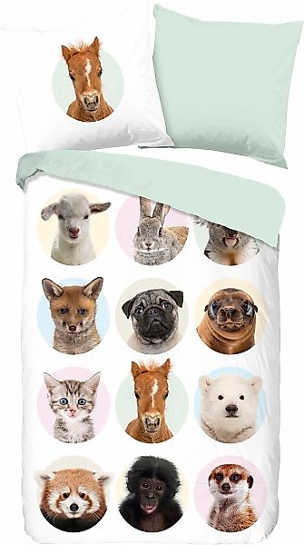 good morning Kinderbettwäsche "Younganimals" 2 Stk. tlg. 100% Baumwolle, 13 günstig online kaufen