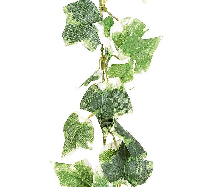 Kunstgirlande Künstlicher Efeu Engl. MINI-EFEUGIRLANDE ca 180cm. GRÜN-WEISS günstig online kaufen