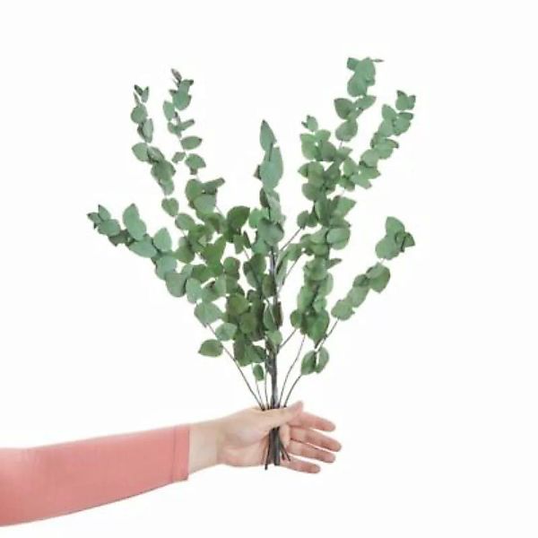 FLOWER MARKET Trockenblumen Eukalyptus Länge 60cm günstig online kaufen