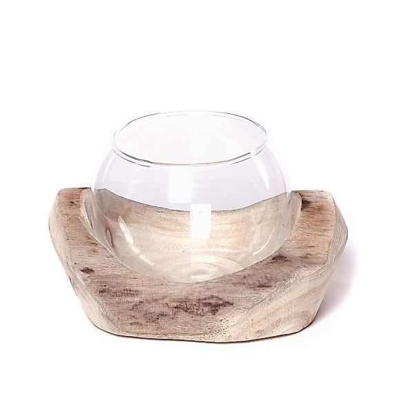 CREEDWOOD Windlicht Wurzelholz Windlicht "NURIA", mit günstig online kaufen