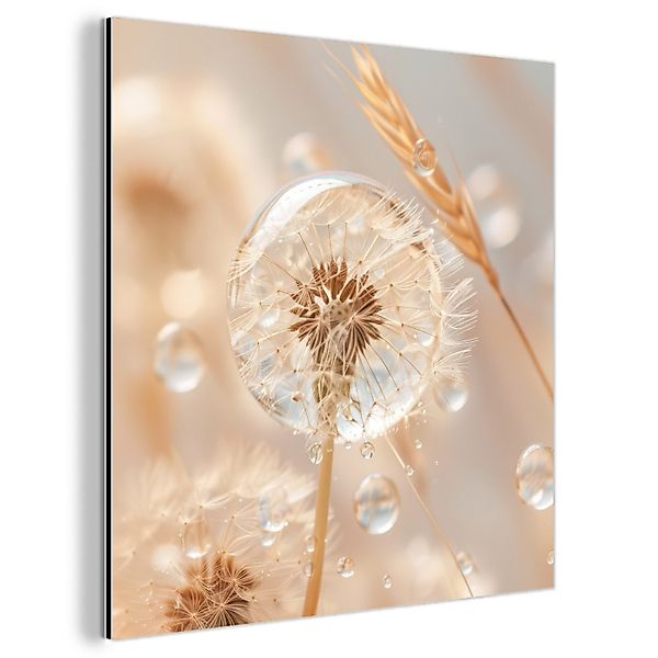 MuchoWow Metallbild Löwenzahn - Wasser - günstig online kaufen