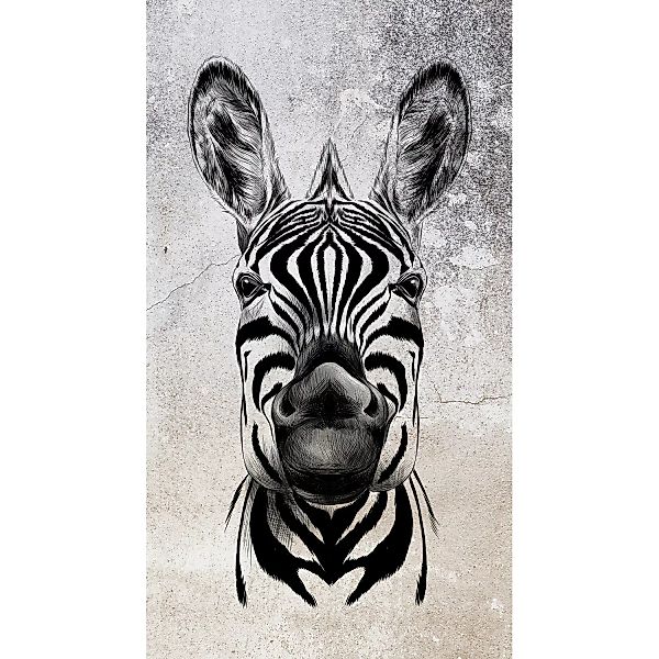 Erismann Digitaltapete Zooom Cool Zebra 270 cm x 150 cm günstig online kaufen