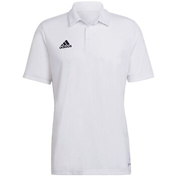 adidas Performance Poloshirt ENT22 POLO günstig online kaufen