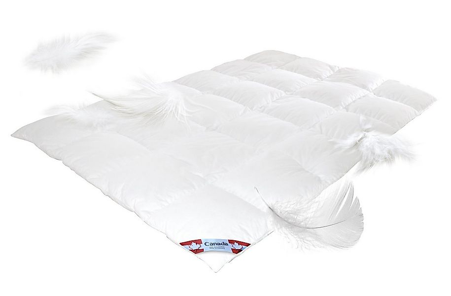 Canada Daunenbettdecke Mega Preis Canada Daunendecke warm 100% Natur, Soft günstig online kaufen
