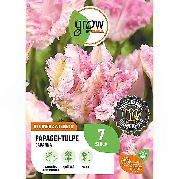 GROW by OBI Papagei-Tulpe  Cabanna Rosa 7 Stück Tulipa parrot Cabanna günstig online kaufen