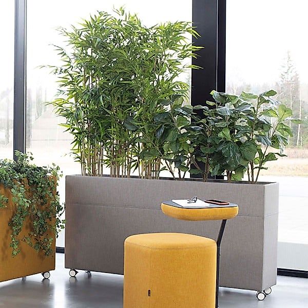 Götessons Plant Divider | Pflanzenbox groß | Konfigurator günstig online kaufen
