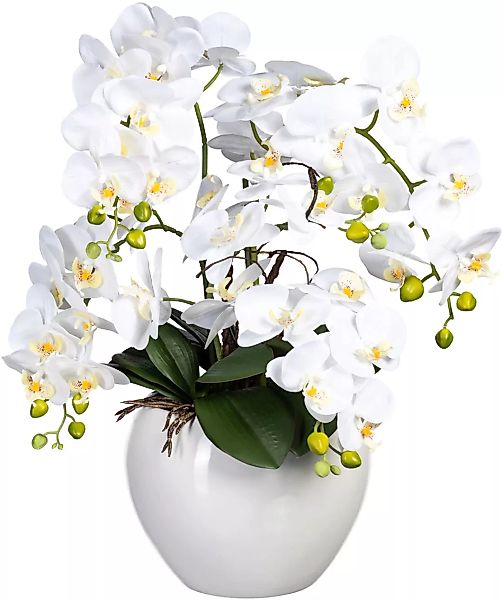 Creativ green Kunstorchidee "Phalaenopsis im Keramiktopf" günstig online kaufen