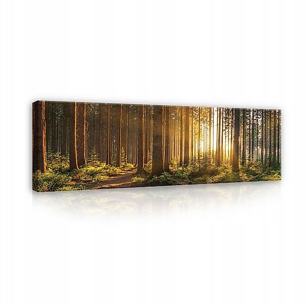 Wallarena Leinwandbild Wald Landschaft Natur Wandbild 145x45 cm Groß XXL Wa günstig online kaufen