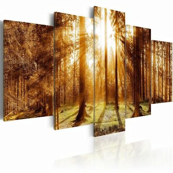 artgeist Wandbild Forest Illumination mehrfarbig Gr. 200 x 100 günstig online kaufen