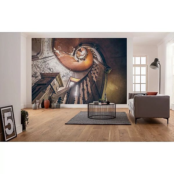 KOMAR Vlies Fototapete - Oak Spiral - Größe 400 x 280 cm mehrfarbig günstig online kaufen