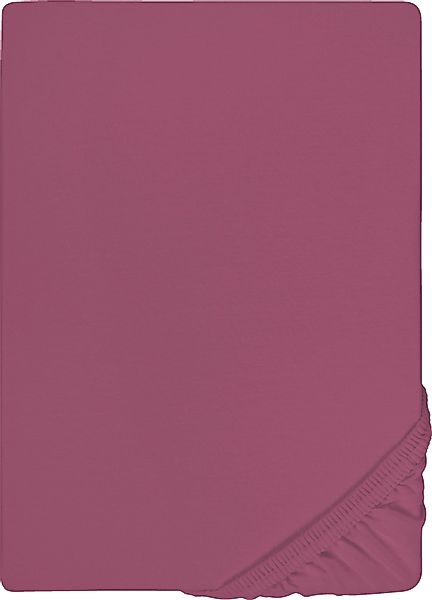 Castell - Markenbettwäsche Spannbettlaken Jersey in günstig online kaufen